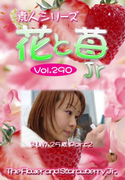 素人シリーズ 花と苺 Jr Vol.290