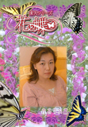 素人シリーズ 花と蝶 Vol.265