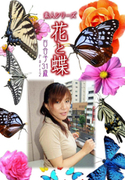 素人シリーズ 花と蝶 Vol.319