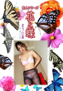 素人シリーズ 花と蝶 Vol.345