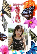 素人シリーズ 花と蝶 Vol.348