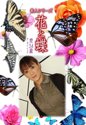 素人シリーズ 花と蝶 Vol.377