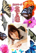 素人シリーズ 花と蝶 Vol.403