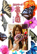 素人シリーズ 花と蝶 Vol.412