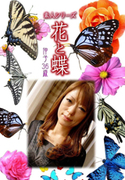 素人シリーズ 花と蝶 Vol.434
