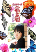 素人シリーズ 花と蝶 Vol.516