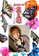 素人シリーズ 花と蝶 Vol.531
