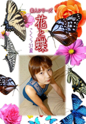 素人シリーズ 花と蝶 Vol.537