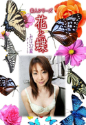 素人シリーズ 花と蝶 Vol.550