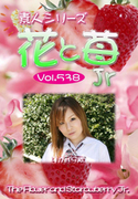 素人シリーズ 花と苺 Jr Vol.538