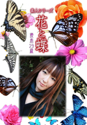 素人シリーズ 花と蝶 Vol.992