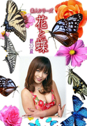 素人シリーズ 花と蝶 Vol.1033