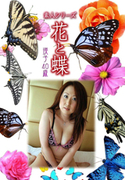 素人シリーズ 花と蝶 Vol.1054