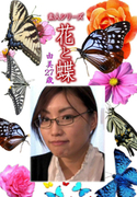 素人シリーズ 花と蝶 Vol.1076