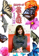 素人シリーズ 花と蝶 Vol.1121