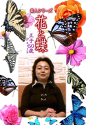 素人シリーズ 花と蝶 Vol.1127