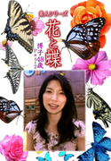 素人シリーズ 花と蝶 Vol.1135